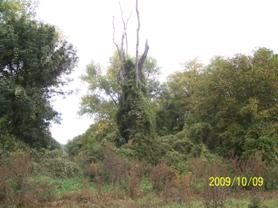 Természetvédelmi túra 2009 őszén