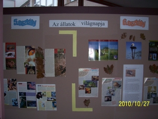 Állatok világnapja 2010