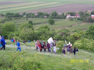 Tehetséghidak program 2013. május 16.