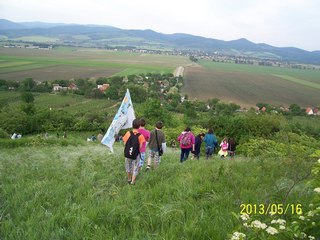 Tehetséghidak program 2013. május 16.