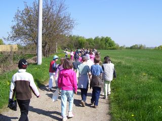 Föld napja 2011