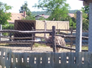 Kirándul a 2. osztály