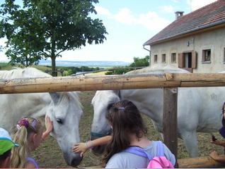 Kirándul a 2. osztály