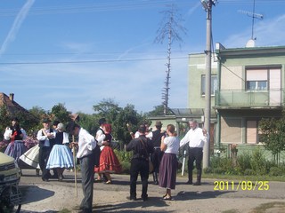 Szüreti felvonulás 2011