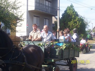 Szüreti felvonulás 2011