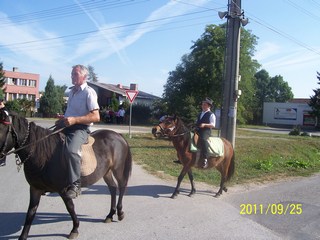 Szüreti felvonulás 2011