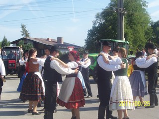 Szüreti felvonulás 2011