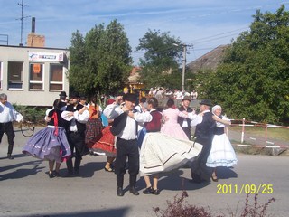 Szüreti felvonulás 2011