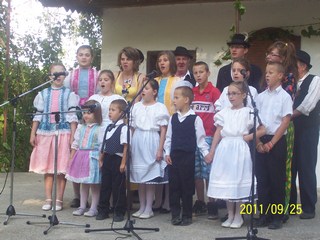 Szüreti felvonulás 2011