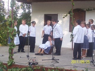 Szüreti felvonulás 2011