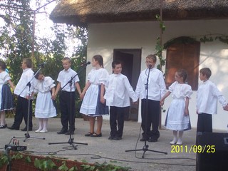 Szüreti felvonulás 2011