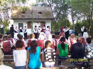 Szüreti felvonulás 2011