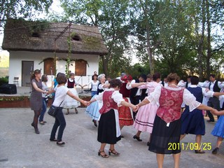 Szüreti felvonulás 2011