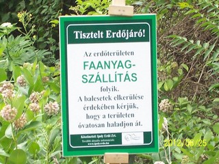 Természetvédelmi nap - Felső tagozat